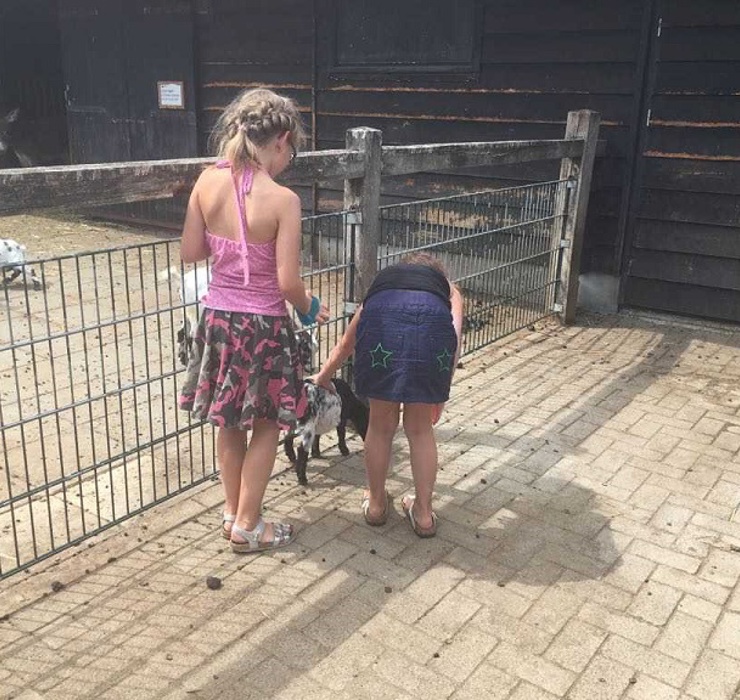 kinderboederij_bso Robinson.jpg