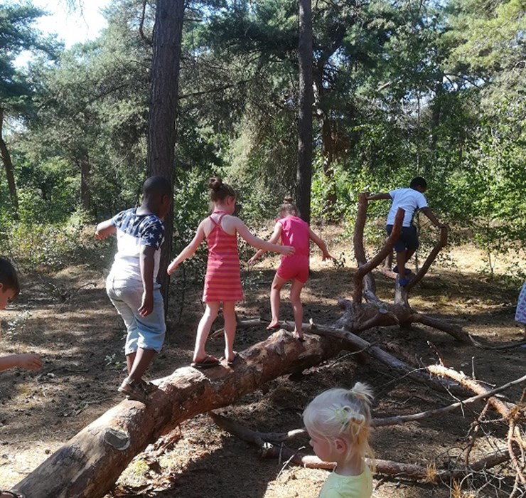 Kabouterpad 2_bso Koele Kikker.jpg