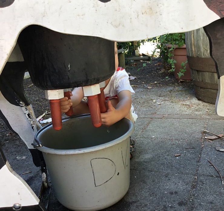 Koeien melken op de kinderboerderij_kdv Zoef.jpg