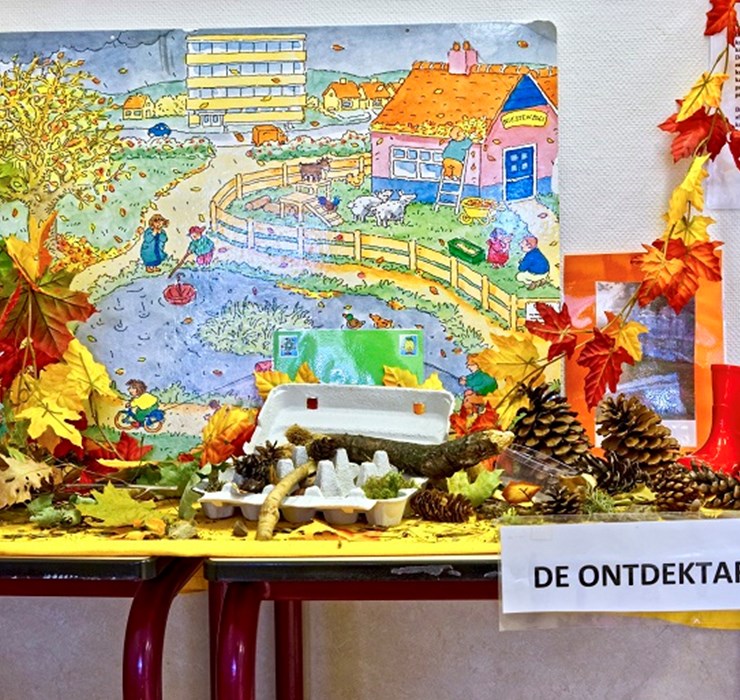 Toverhoed PSZ 3_.jpg