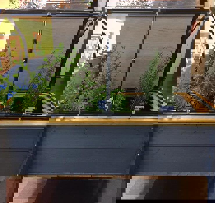 Venray_De Groene Wereld 2.jpg