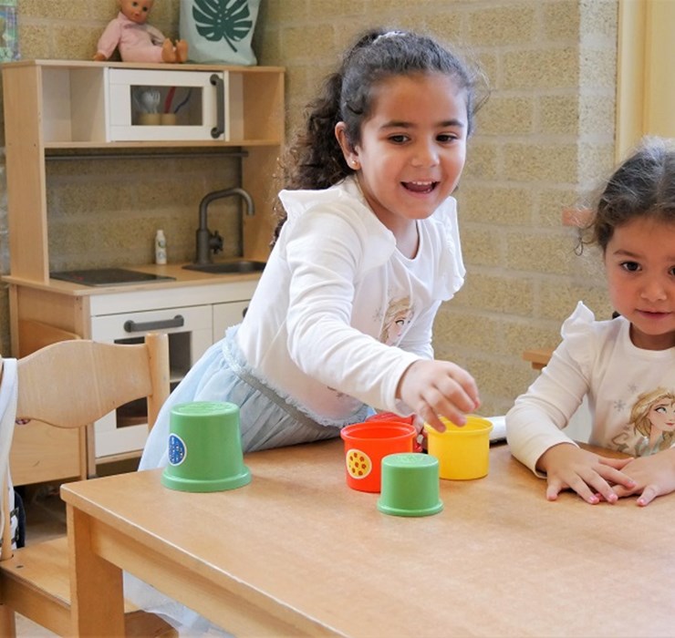 P1040466 Vlinder.jpg