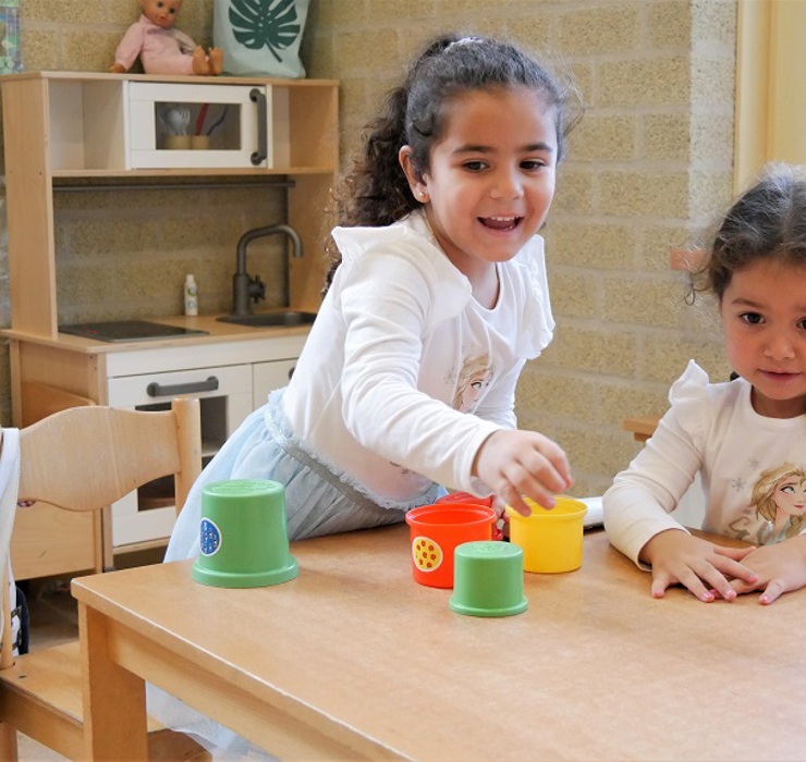 P1040466 Vlinder.jpg