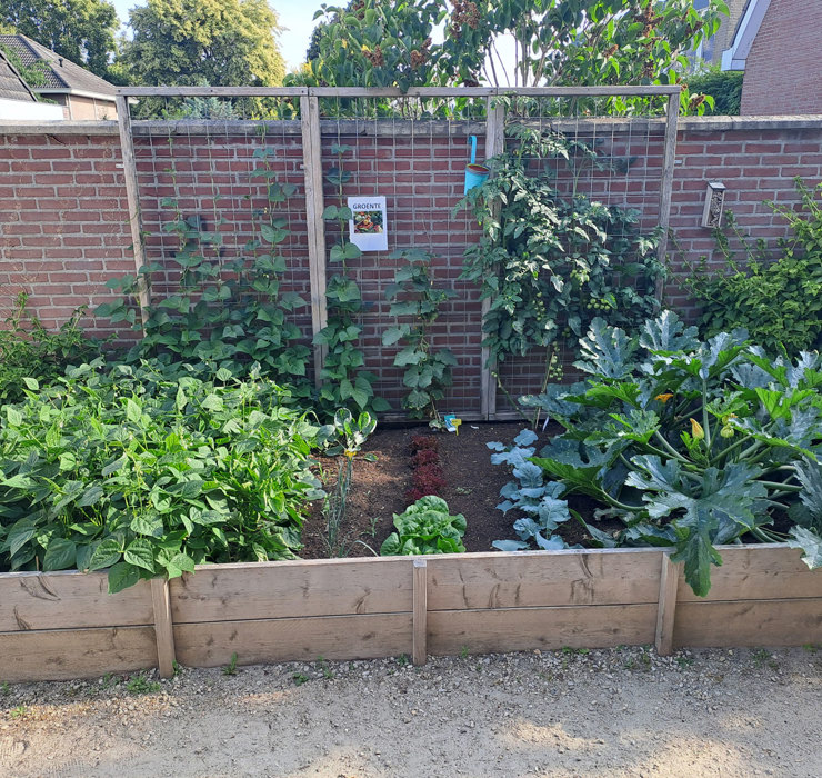 Kinderdagverblijf Bende Moestuin1