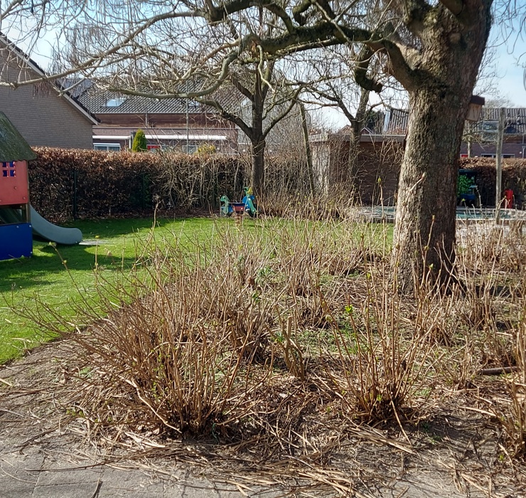 Spring Kinderopbang Station Ottersum 5