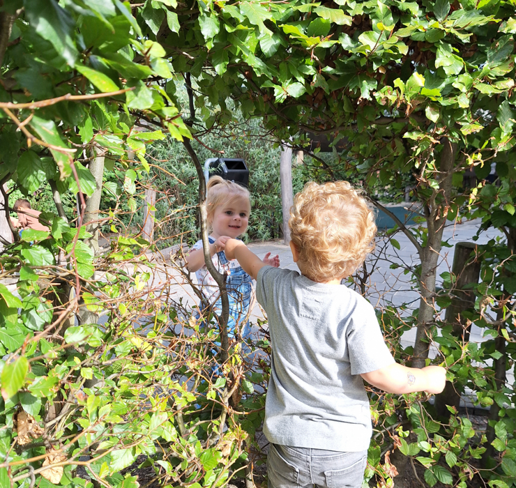 Kinderdagverblijf Spetter Buiten Groen (Verkleind)