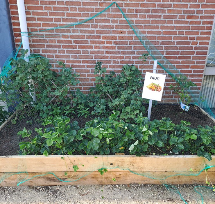 Kinderdagverblijf Bende Moestuin
