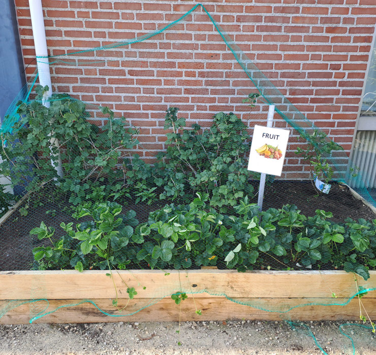 Kinderdagverblijf Bende Moestuin