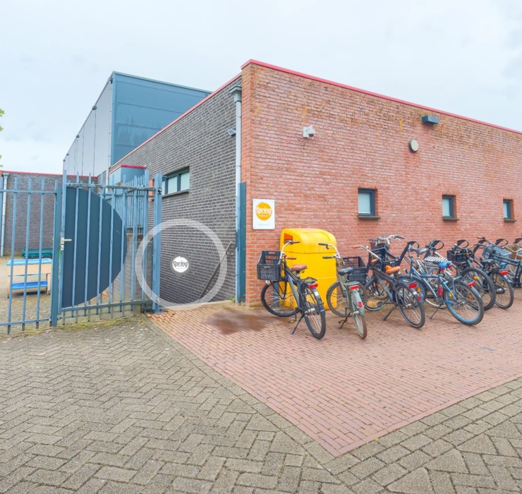 Bso Bengel 2.0 Hout Blerick 10