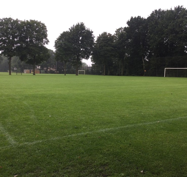 Grasveld Mifano1